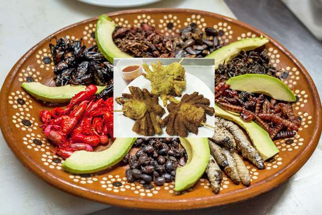 Як зміниться дієта, якщо людство виживе після глобальної катастрофи?_5