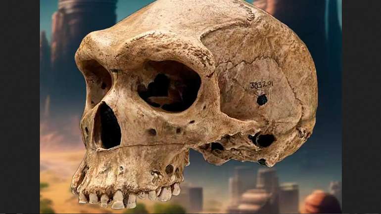 Загадка доісторичних черепів із отворами від куль