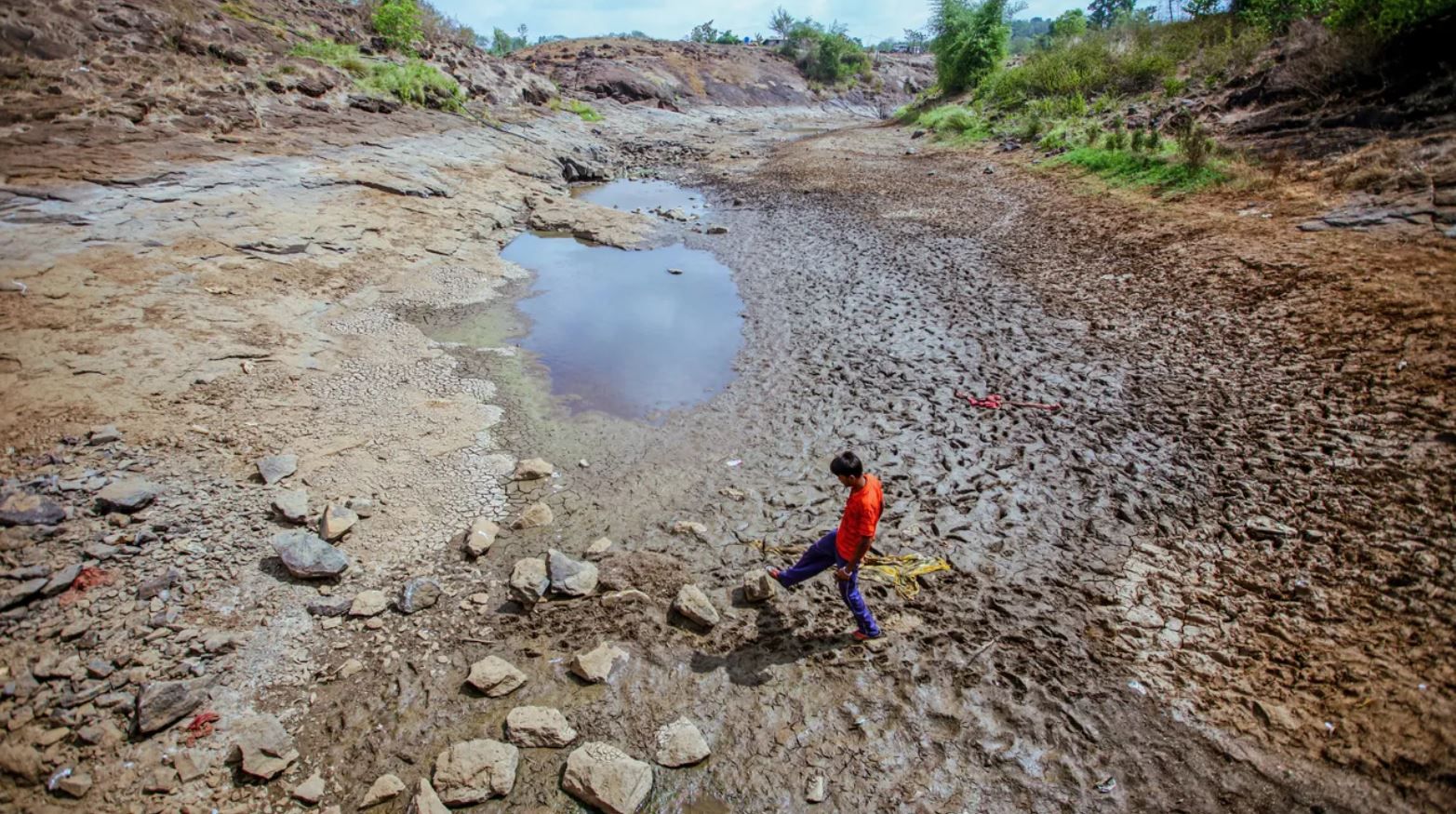 В Індії осушили озеро, щоб знайти смартфон місцевого урядовця