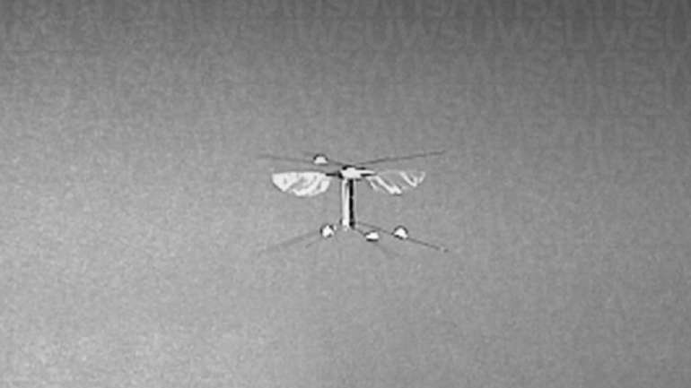 Жахи Ернста Юнґера стали дійсністю: інженери розробили бджолу-робота