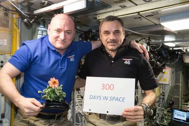 Астронавт NASA розповів про свій досвід зустрічі з НЛО_1