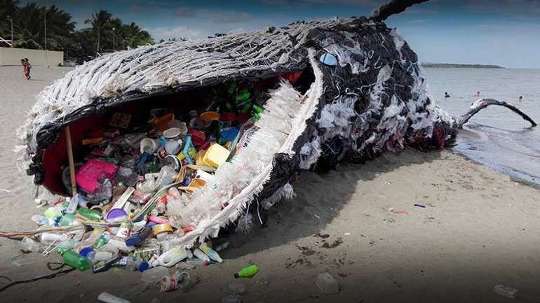 Кількість пластика в океані стає більшою за популяцію китів