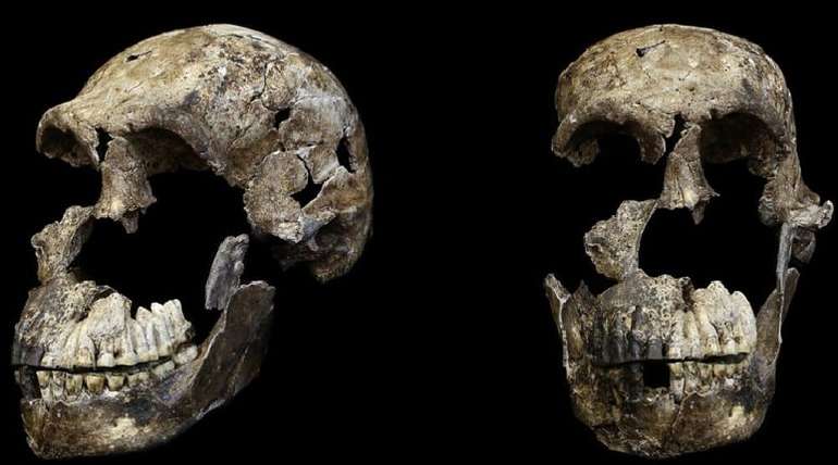 Антропологи знайшли поховання представників виду Homo naledi