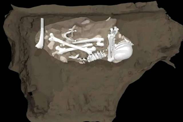 Антропологи знайшли поховання представників виду Homo naledi_1