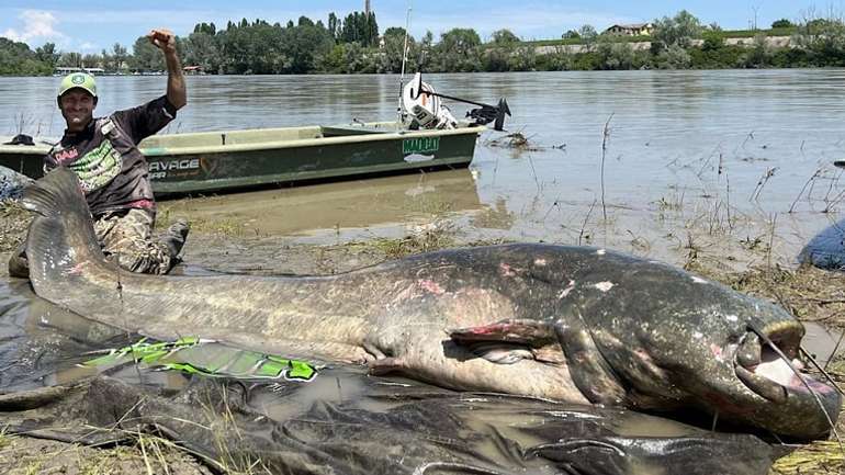 Італієць виловив найбільшого в історії світу сома