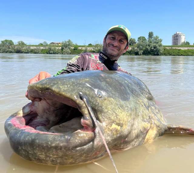 Італієць виловив найбільшого в історії світу сома_1