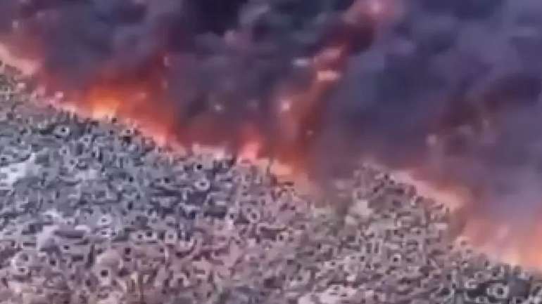 50 млн шин горять більше тижня на звалищі у Кувейті