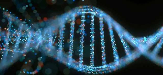 Усі люди пішли умовно від однієї пари 200 тисяч років тому ?_1