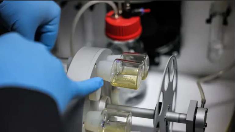 Вчені виростили штучні ембріони зі стовбурових клітин