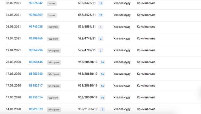 Суд відмовився затверджувати угоду про визнання винуватості стосовно Інни Топчій_21