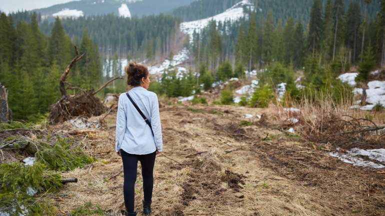 Зелені покидьки знищують українські ліси. Нові правила рубок можуть донищити ліси України