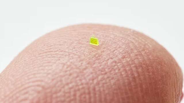 Мікроскопічну сумочку продали на аукціоні за 100 тисяч доларів_1