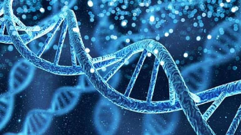 ДНК – це більше, ніж ви думаєте