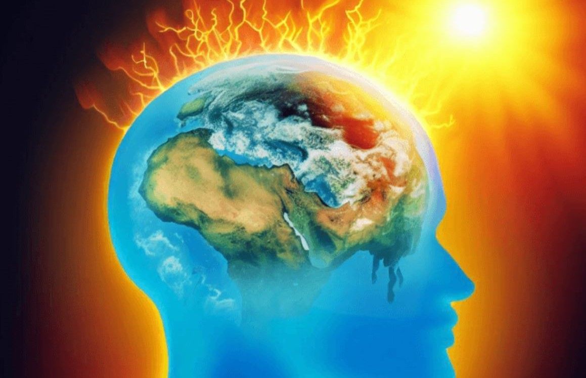 Кліматичні зміни призводять до зменшення мозку