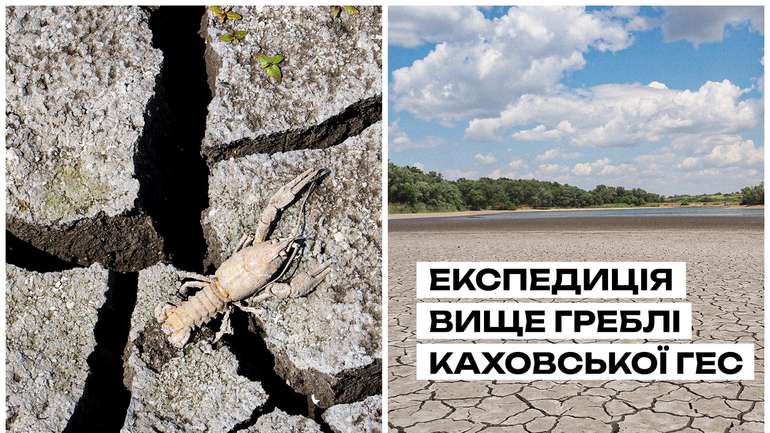 Що стало з природою вище Каховської ГЕС ?