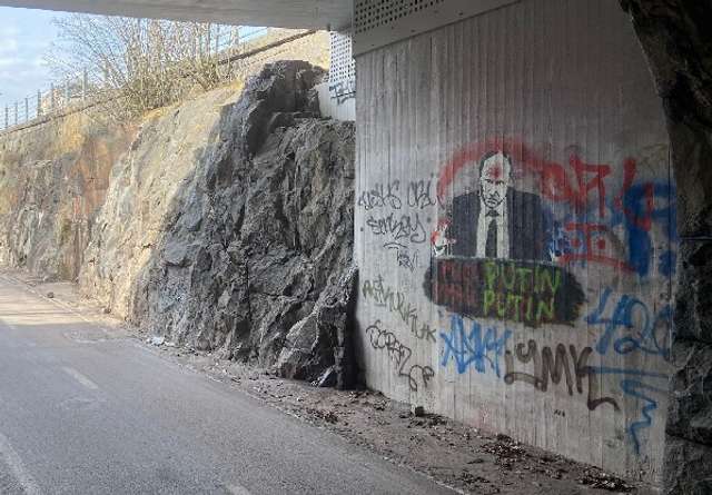 Фінляндії важливо зберегти неподільність РФ, – уральський самостійник_1