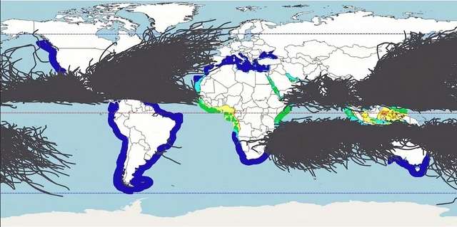 Теплова карта Землі. Найкраще для розміщення морських плавучих сонячних батарей підходять червоні області, за якими йдуть жовті, зелені та сині. Сірі лінії показують шляхи тропічних штормів.