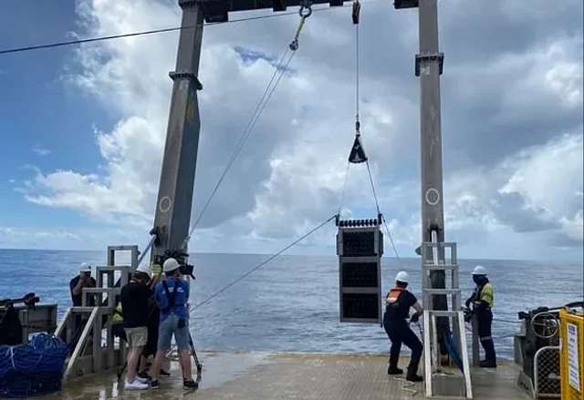 Вчені заявили, що можуть довести існування позаземного життя за 28 днів_1