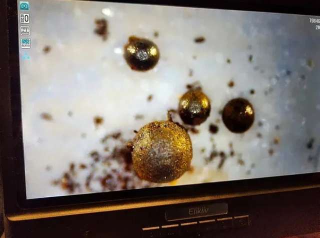 Вчені заявили, що можуть довести існування позаземного життя за 28 днів_5