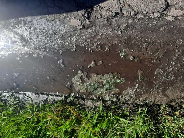 Ганьба Луніну і  Біленькому_3