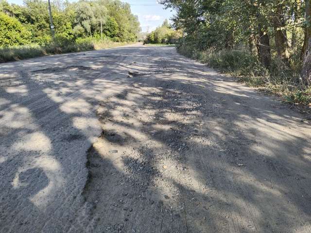 Лінія Зеленхайма