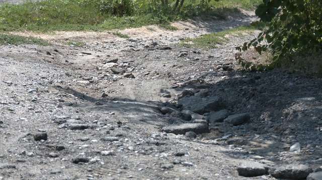 Лінія Зеленхайма у Запорізькій області