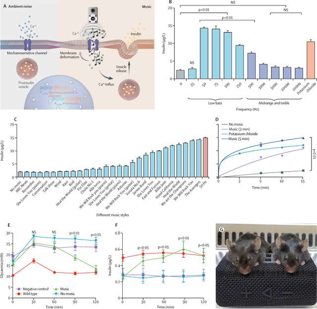 Рок-музика корисна для здоров'я людини, – швейцарські науковці_1