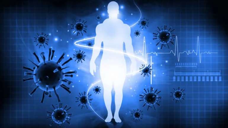 Як імунна система може змінити нашу поведінку ?