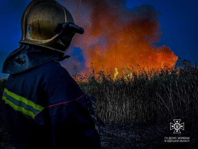 Безвідповідальні громадяни безжально знищують екосистему України_5