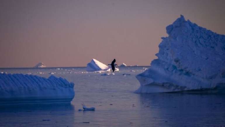 Поблизу Антарктиди кудись зникла вся крига