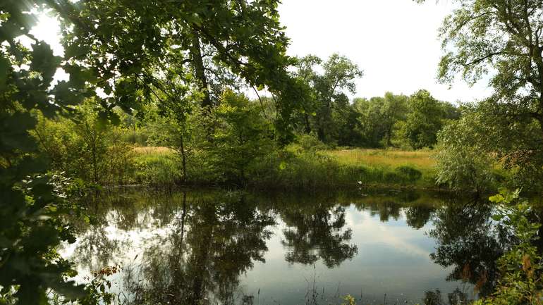 Врятований острів