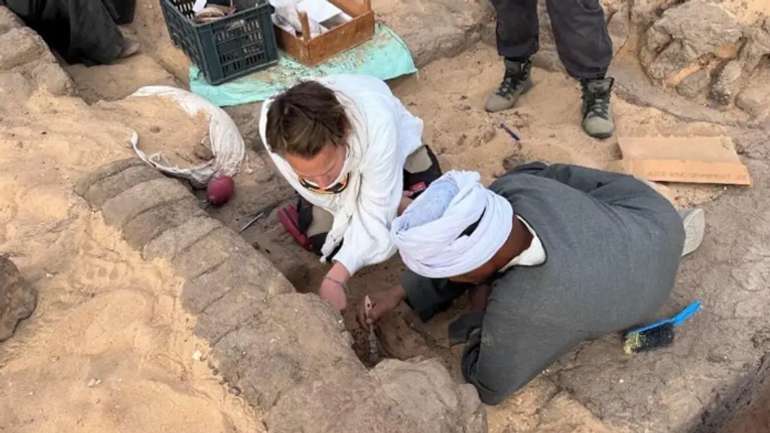В Єґипті розкопали 5000-річні глеки з вином фараонів