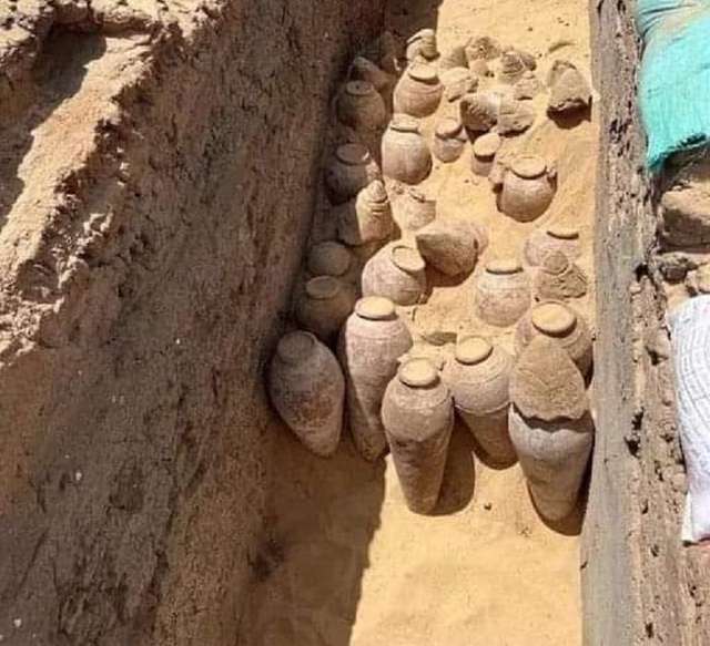 В Єґипті розкопали 5000-річні глеки з вином фараонів_2
