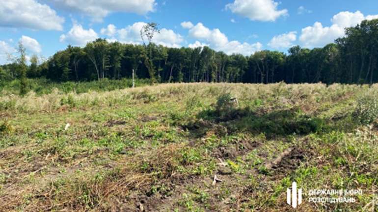 Подільські чиновники дозволили за готівку рубати ліс