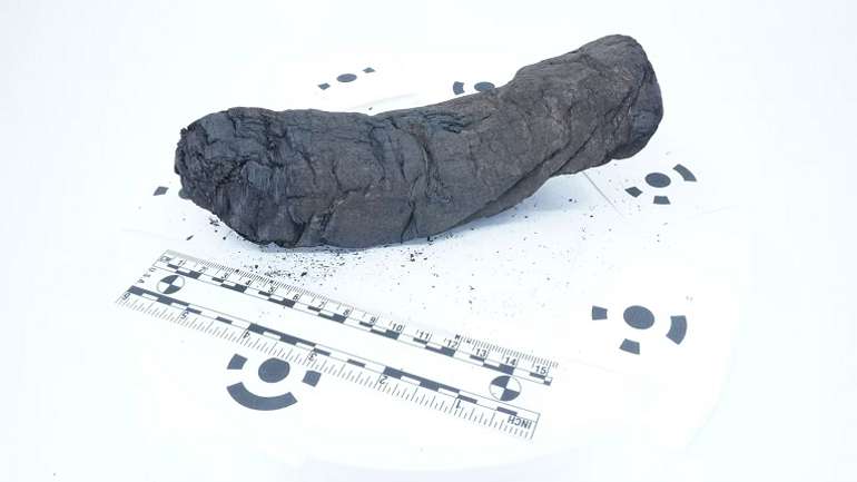 Науковці прочитали перше слово зі згорілих рукописів Геркуланума