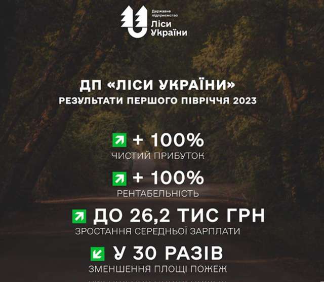 «Слуги народу» знищують українські ліси_9