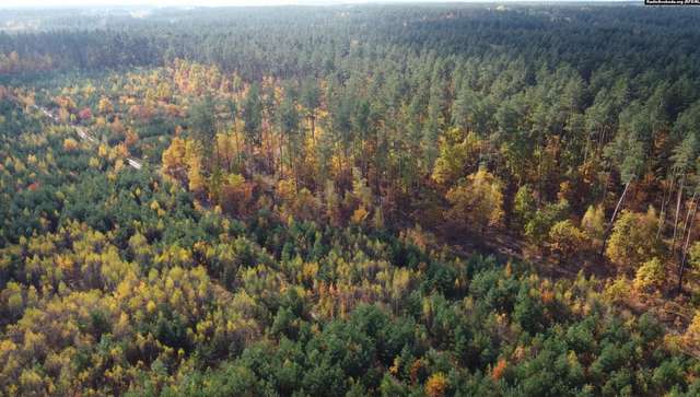 Ділянка під Національне військове меморіальне кладовище. Гатненська громада, Фастівський район, Київська область