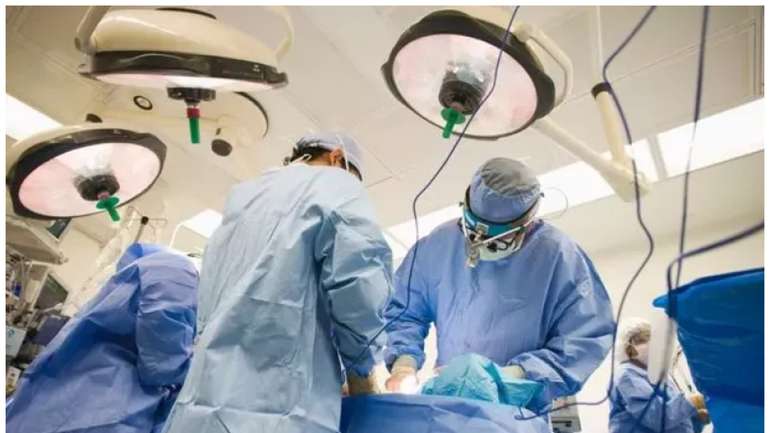 Вчені дослідили межі між життям та смертю