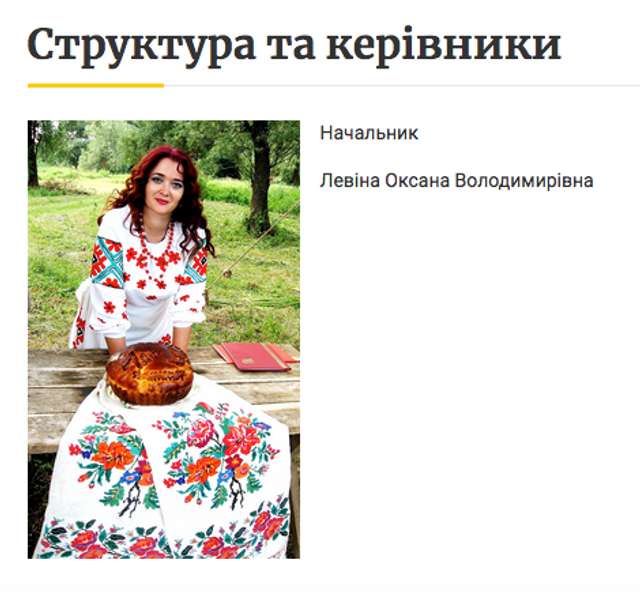 Коли у міста є все. На Полтавщині влада міста хоче придбати відеоборд_3