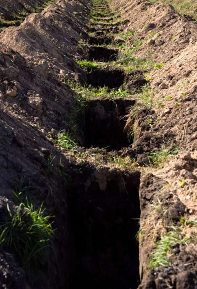 На одному з кладовищ Дніпра (літо 2023 року)