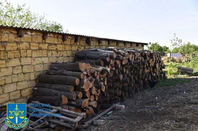 У національному парку на Одещині знищили ліс вартістю 145 млн гривень_5