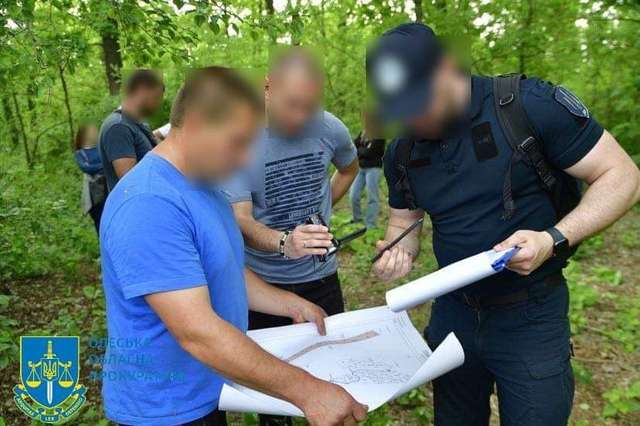 У національному парку на Одещині знищили ліс вартістю 145 млн гривень_11