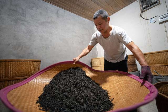 Битва за звання «короля чаю» Китаю_5