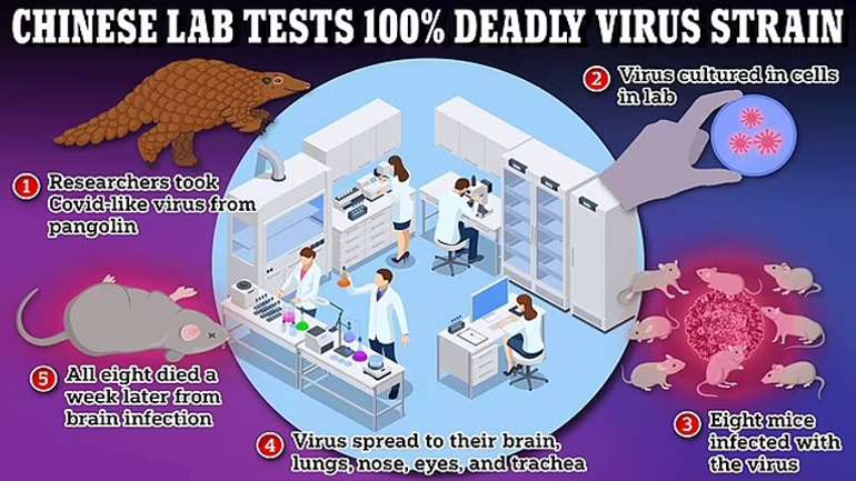 У лабораторіях КНР експериментують над новим коронавірусом