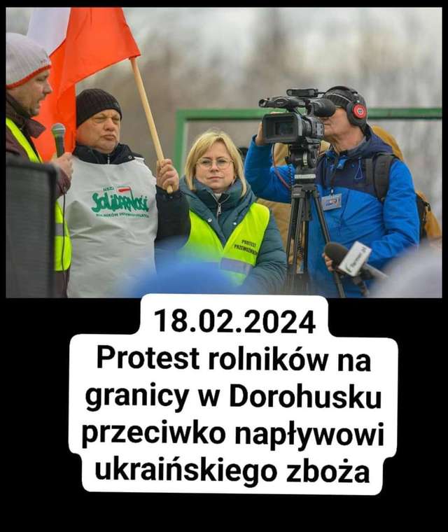 Хто зупинить мамбу Мамекс?_1