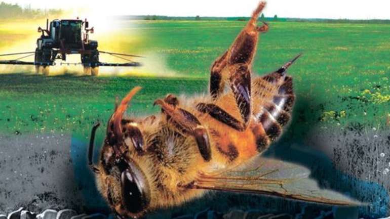 Аграріїв Кременчуцького району попередили про покарання за отруєння бджіл