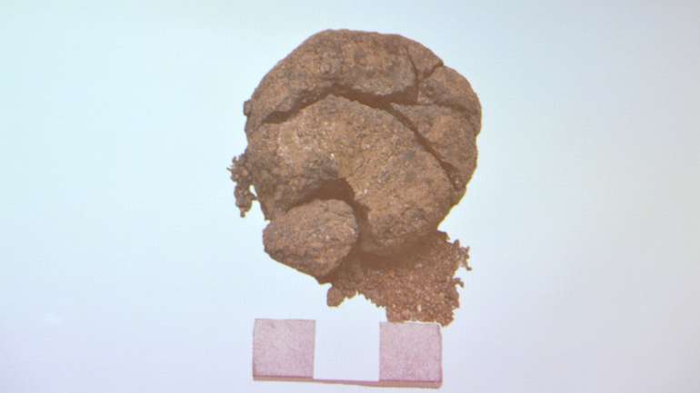 Турецькі археологи знайшли хліб, віком 8600 років