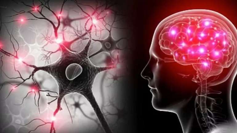 Що відбувається з мозком, коли ми мріємо?