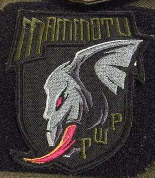 Вітчизні вірний до загину: бойовий Чин Олександра «Мамонта» Федорченка_9