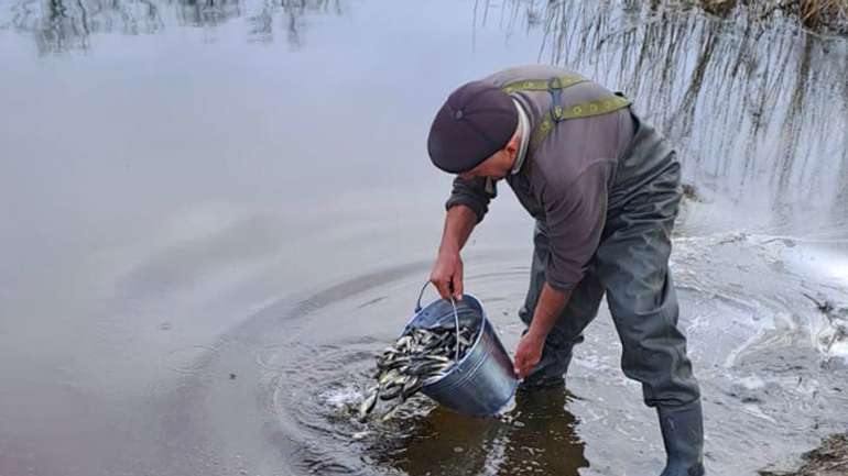 Поки одні мешканці Полтавщини займаються браконьєрством, інші зарибнюють водойми